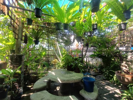 บ้านเดี่ยวมือสองพร้อมอยู่โชคชัย4 ราคาถูกกว่าตลาด บ้านเดี่ยวมือสองลาดพร้าว-นาคนิวาส-เลียบด่วน ใกล้Lotus เลียบด่วน