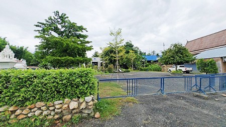 เที่ยว ร้านอาหารเชียงใหม่แม่ริม เหมาะลงทุนทำโฮมสเตย์ 505 ตรว ติดถนนเชียงใหม่-แม่ริม-แม่แตง