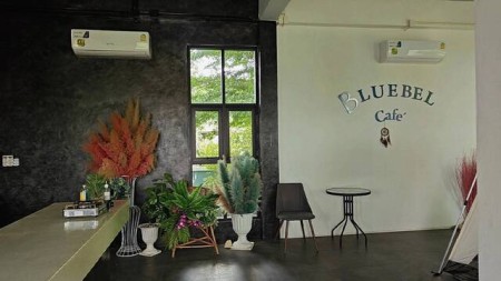 ขายร้านกาแฟแม่ริม พร้อมที่ดิน วิวพาโนรามาภูเขา ใกล้แหล่งท่องเที่ยว ร้านอาหารเชียงใหม่แม่ริม เหมาะลงทุนทำโฮมสเตย์ 505 ตรว