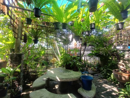 ขาย บ้าน ใกล้โรงพยาบาลเปาโลโชคชัย4 เลียบด่วน บ้านมือสองลาดพร้าวโชคชัย4 สะดวกเดินทางหลายทาง เกษตรนวมินทร์–เอกมัย–รามอินทรา