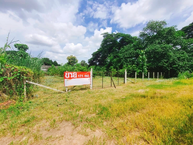 ขาย ที่ดิน บ้านป่าพร้าวนอกซอย6วงแหวนรอบ1 ยินดีรับนายหน้า เหมาะสร้างบ้านเช่าทำออฟฟิศ เหมาะสร้างบ้านอพาร์ตเมนต์หอพัก ใกล้ทั้งเมืองสนามบินและศูนย์การค้า